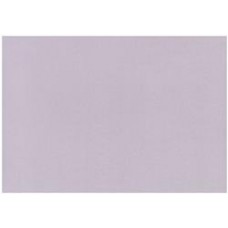 Romanesque Lilac A4 120gsm Paper Pkt 20
