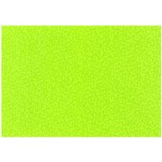 Hammer Embossed Lime A4 280gsm Pkt 20