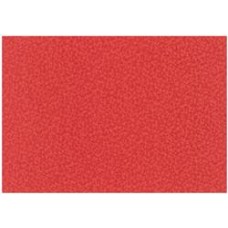 Hammer Embossed Burnt Orange A4 280gsm Pkt 20
