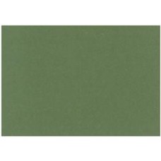 Earthy Recycled Parsley A4 116gsm Paper Pkt 20