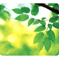 Fellowes Recycled Optical Mouse Pad Leaves Design