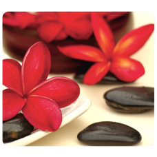 Fellowes Earth Series Mouse Pad - Spa Design